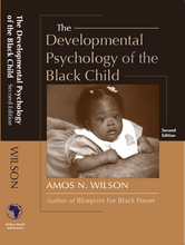 Load image into Gallery viewer, The Developmental Psychology of the Black Child
